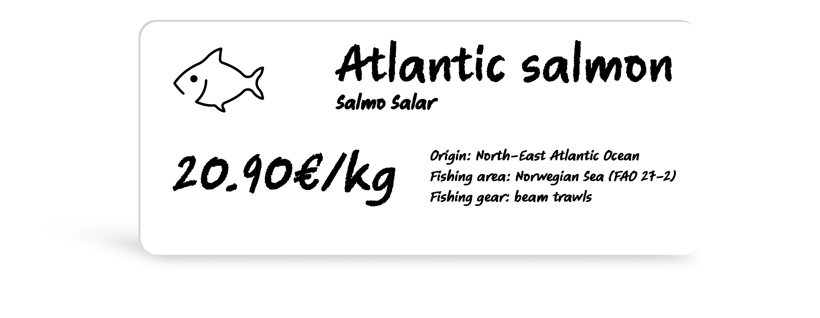 Edikio Salmon 120x50 Price tag